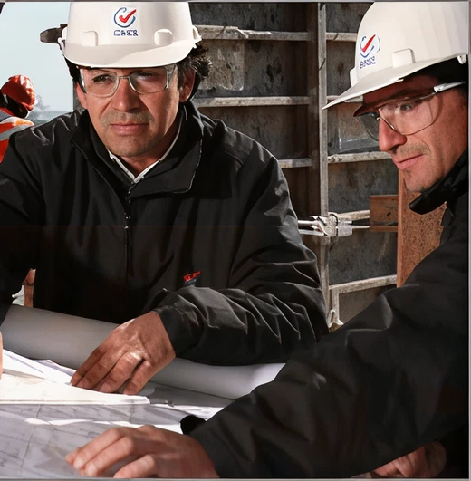 Asistente en Topografia Alarife